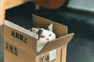梱包